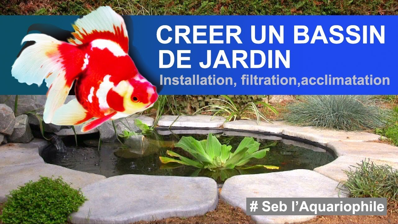 Créer Un Bassin , Construire Un Bassin De Jardin ✔ encequiconcerne Créer Un Bassin De Jardin
