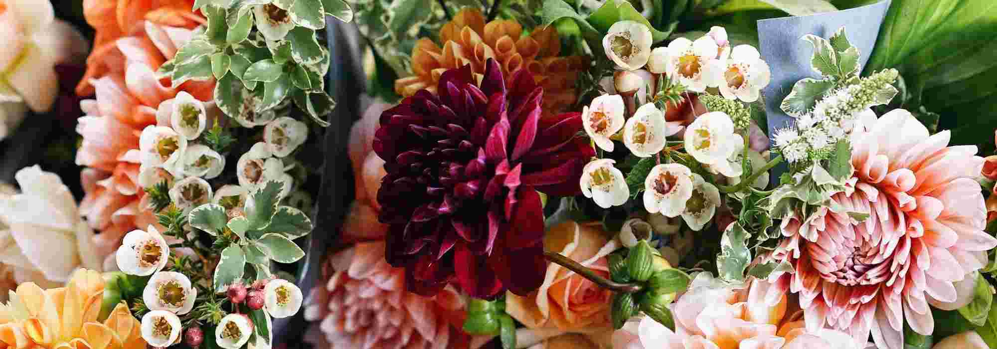 Créer Un Jardin De Fleurs À Couper Pour Faire Des Bouquets ... intérieur Fleurs À Couper Au Jardin