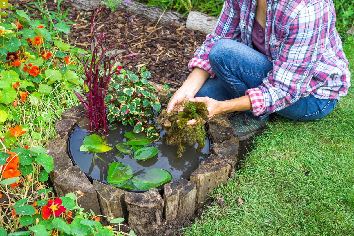 Créer Un Mini-Bassin En 2 Heures Chrono Dans Votre Jardin ... pour Bac Poisson Jardin