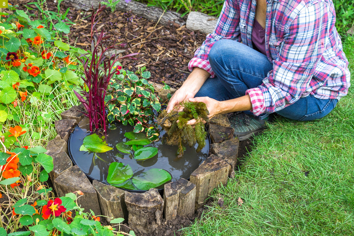 Créer Un Mini-Bassin En 2 Heures Chrono Dans Votre Jardin ... serapportantà Créer Un Bassin De Jardin