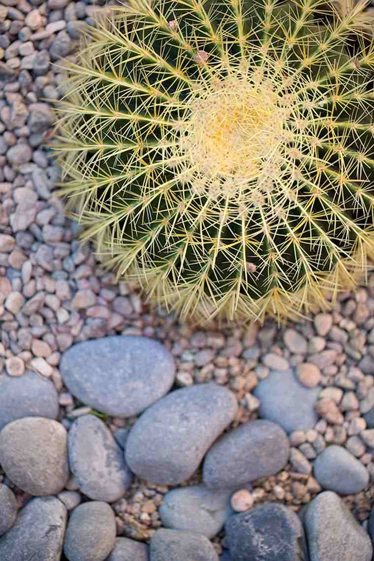 Décoration De Jardin En Pierre En 35 Idées Super Sympas intérieur Grosse Pierre Pour Jardin