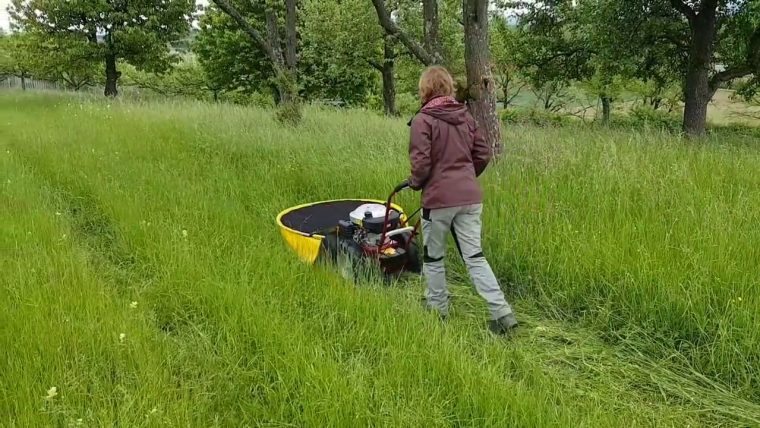 Démonstration Tondeuse Faucheuse Rotative À Disque 173 Cm3 Ohv dedans Faucheuse Jardin