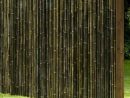 Détails Sur Brise-Vue Black Bambou Palissade Coupe-Vent Clôture De En 13  Tailles à Coupe Vent Jardin