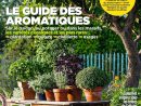 Détente Jardin /l'ami Des Jardins - Page 3 avec Ami Des Jardins Magazine