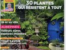 Direct-Éditeurs - * Le Service-Client Des Diffuseurs De Presse * intérieur Ami Des Jardins Magazine