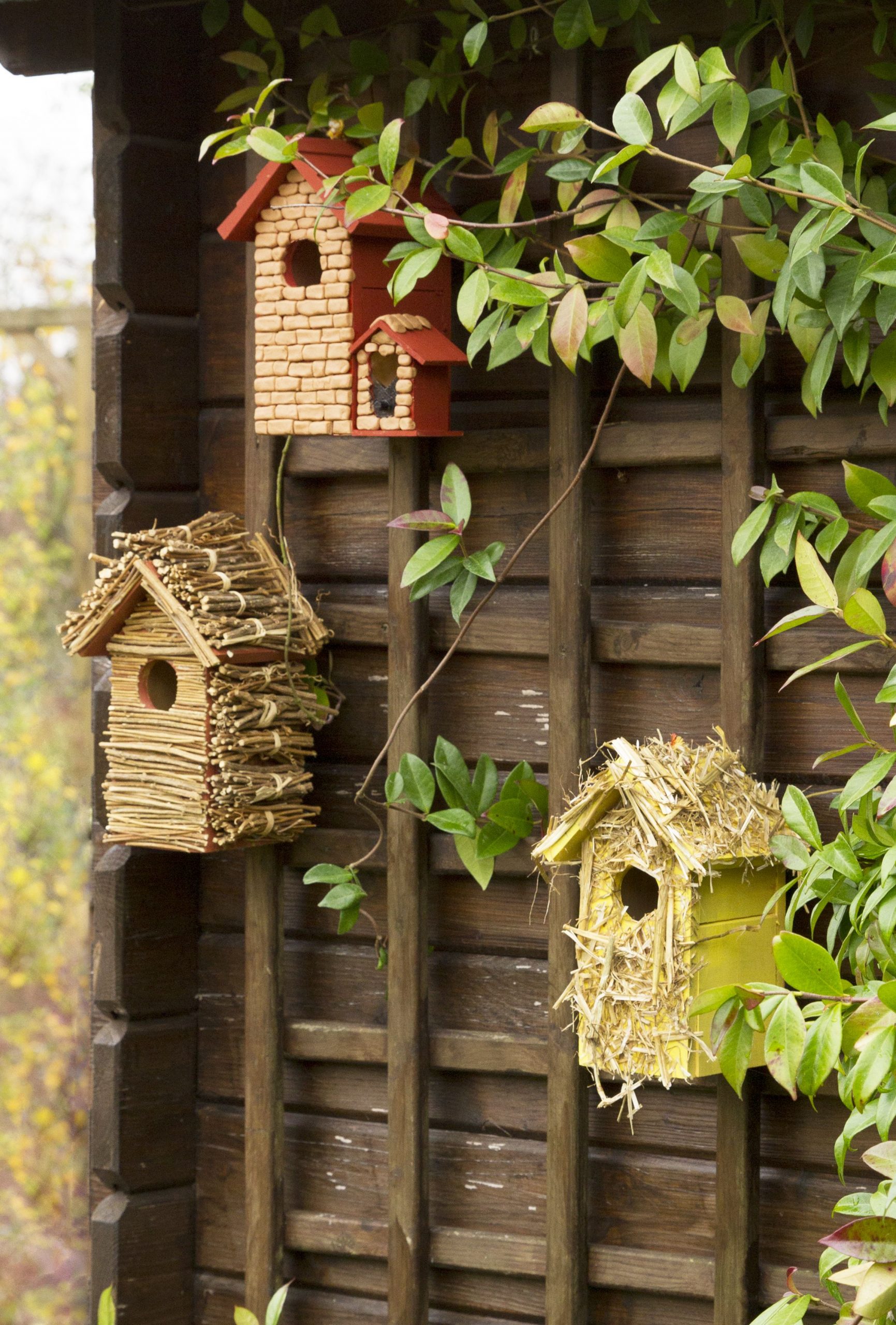 Diy : Décorer Un Nichoir Pour Oiseaux | Nichoir Oiseau ... pour Abri Oiseau Jardin