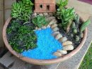 El Patio De Mi Casa... | Mini Jardins, Jardinage En Pots ... encequiconcerne Mini Jardin Interieur
