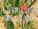 Envie De Savoir Ce Qu'est La Permaculture? Comment Ça ... à Jardiner Pour Les Nuls