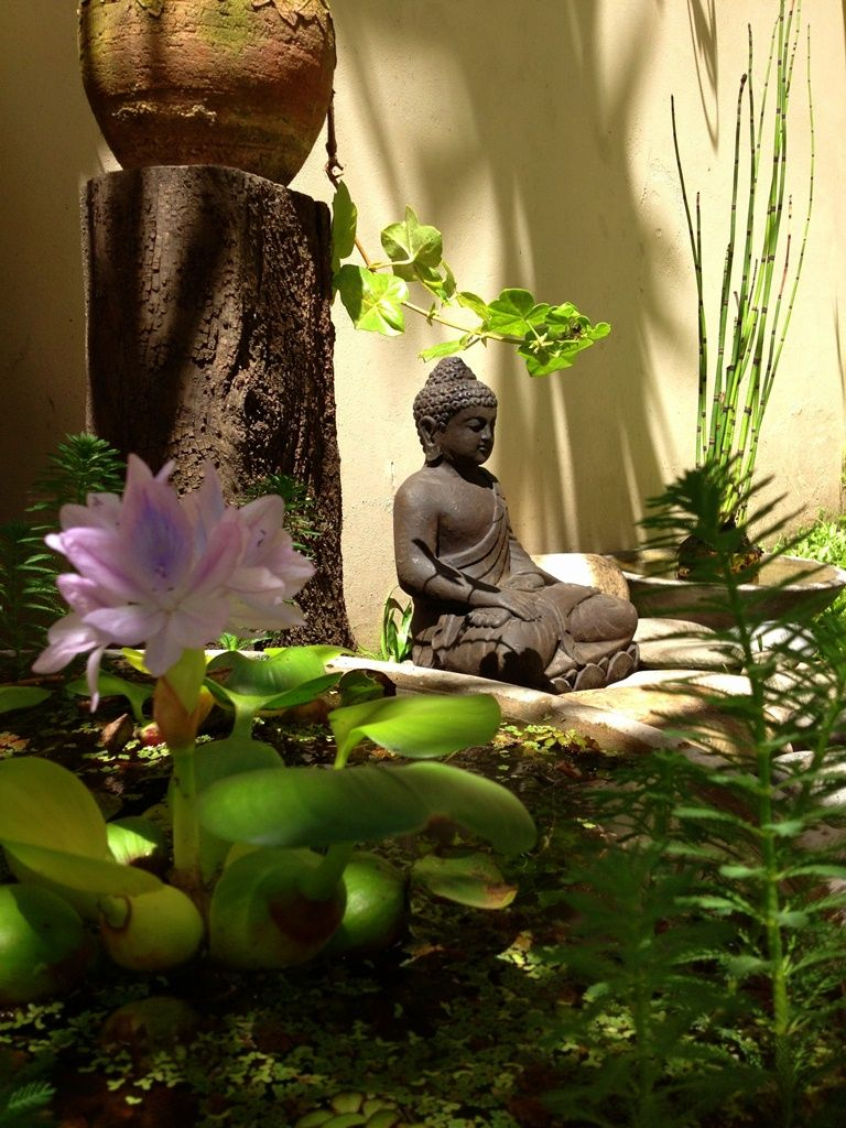 Épinglé Sur Budas intérieur Faire Un Jardin Zen