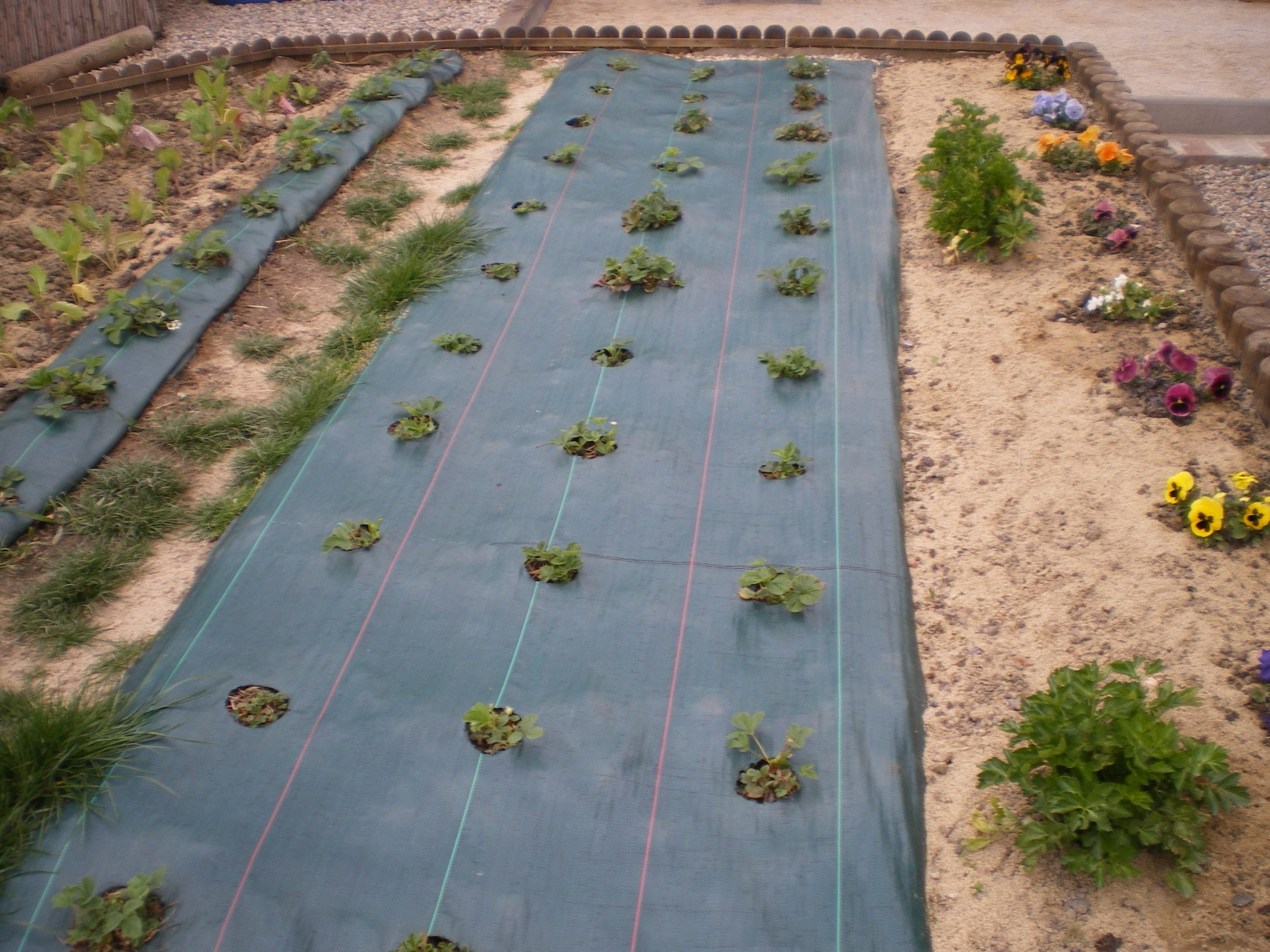 Épinglé Sur Toiles Bâches Soudure Haute Fréquence avec Bache Mauvaise Herbe Jardin