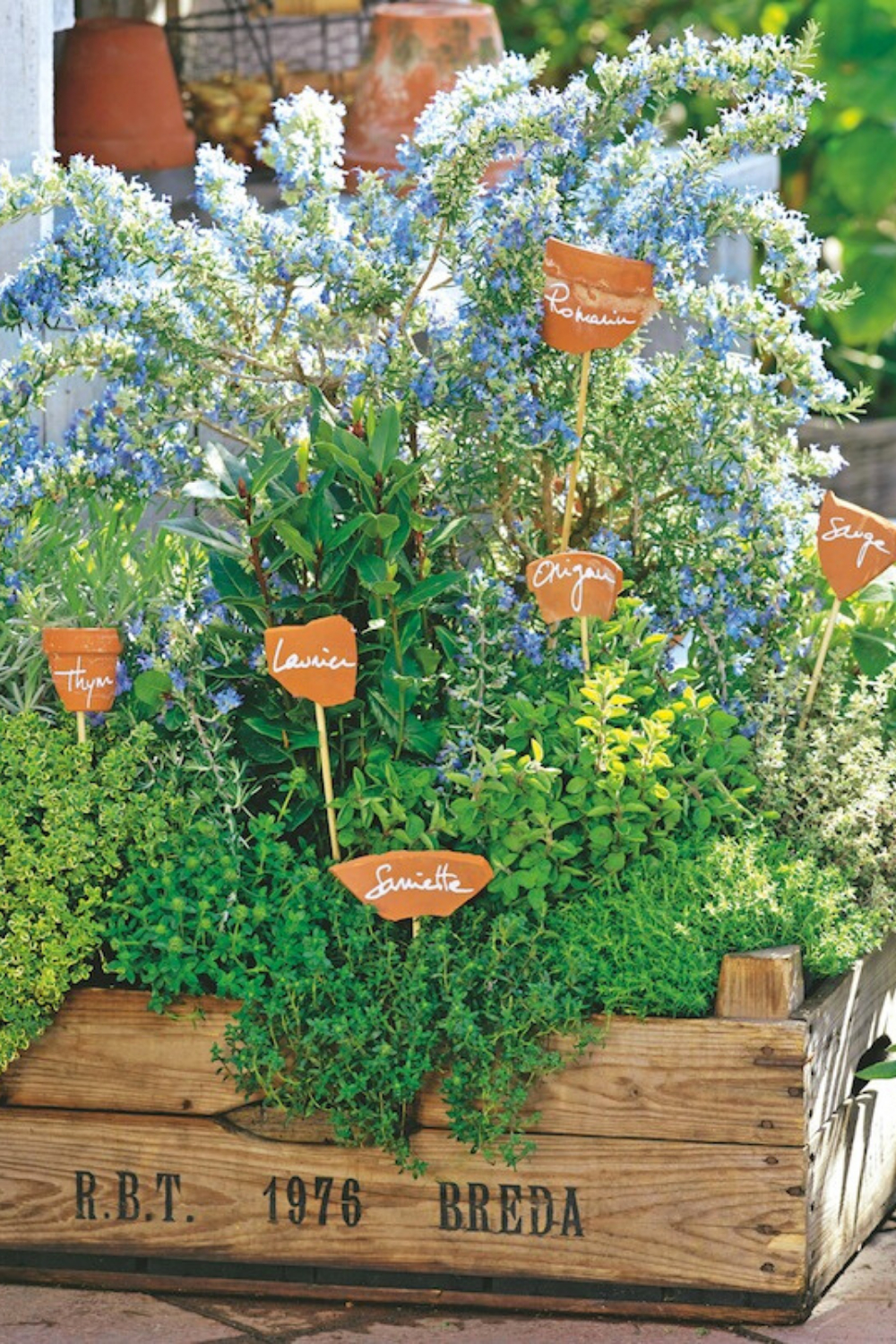 Étiquettes De Jardin : 6 Idées Pour Les Faire Soi-Même concernant Etiquette Jardin