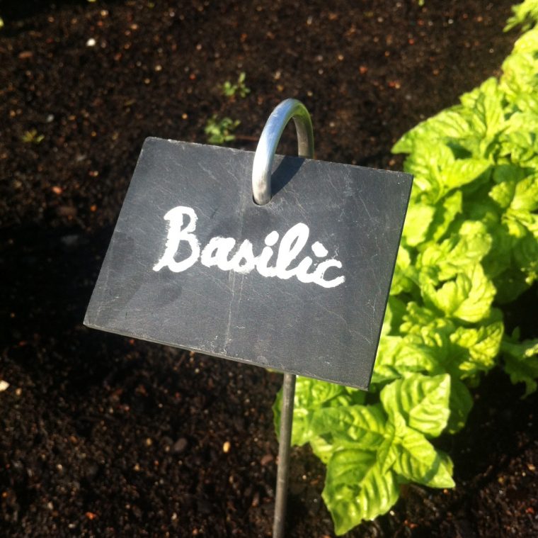 Etiquettes En Ardoise X5 - 70 X 50 Mm concernant Etiquette Jardin