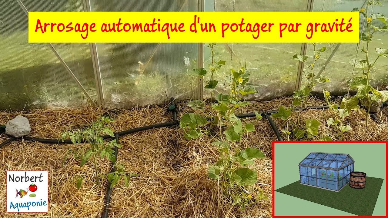 💦 Arrosage Automatique D'un Potager Par Gravité concernant Systeme Arrosage Jardin Potager
