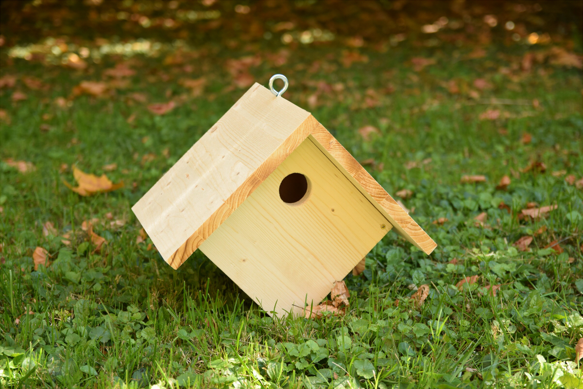 Fabriquer Un Nichoir Pour Les Oiseaux Du Jardin - La Gazette Bio pour Abri Oiseau Jardin