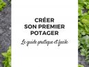 Faire Son Premier Potager - Guide Pour Les Débutants ... concernant Jardiner Pour Les Nuls