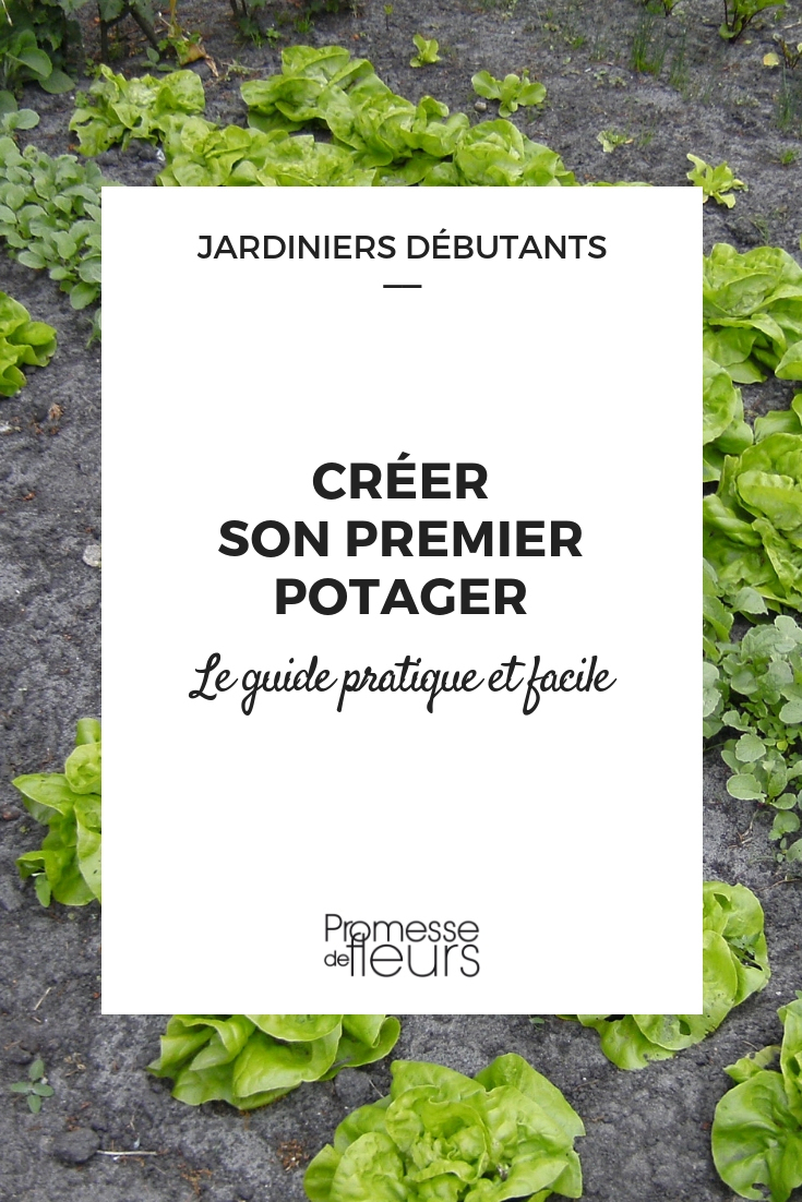 Faire Son Premier Potager - Guide Pour Les Débutants ... concernant Jardiner Pour Les Nuls