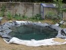 Faire Un Bassin Artificiel Dans Son Jardin - Aquaponie dedans Conception Bassin De Jardin