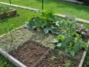 Faire Un Potager : Les 4 Étapes À Suivre - Jardindeco pour Faire Un Petit Potager Dans Son Jardin