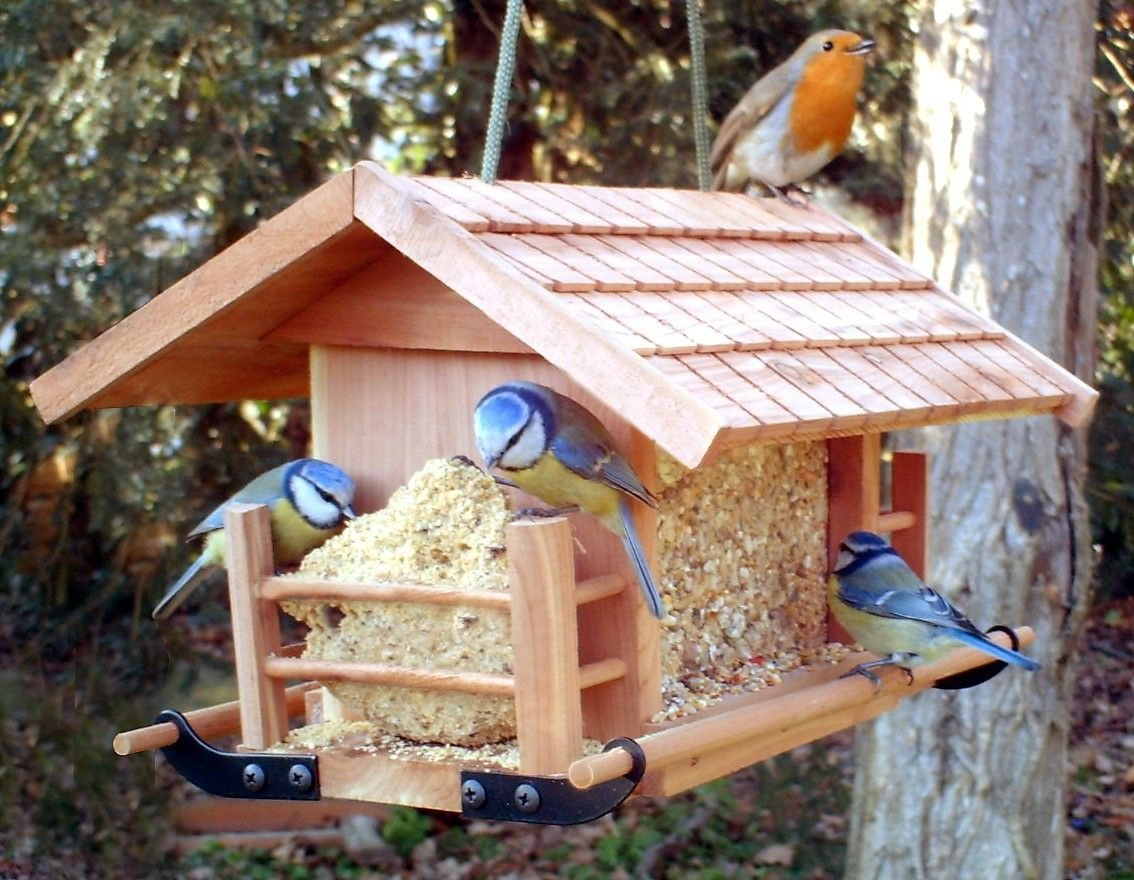 Faire Une Mangeoire Et Un Nichoir Pour Oiseaux ! | Nichoir ... dedans Abri Oiseau Jardin