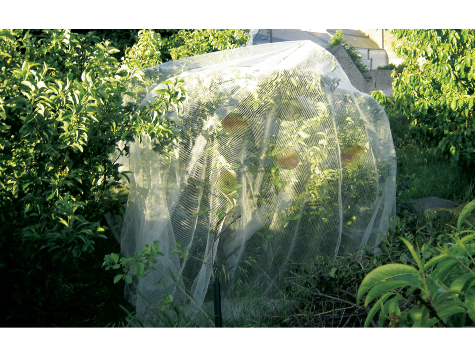 Filet De Protection Protect Fruit Spécial Verger 5,20X5M encequiconcerne Filet De Protection Jardin