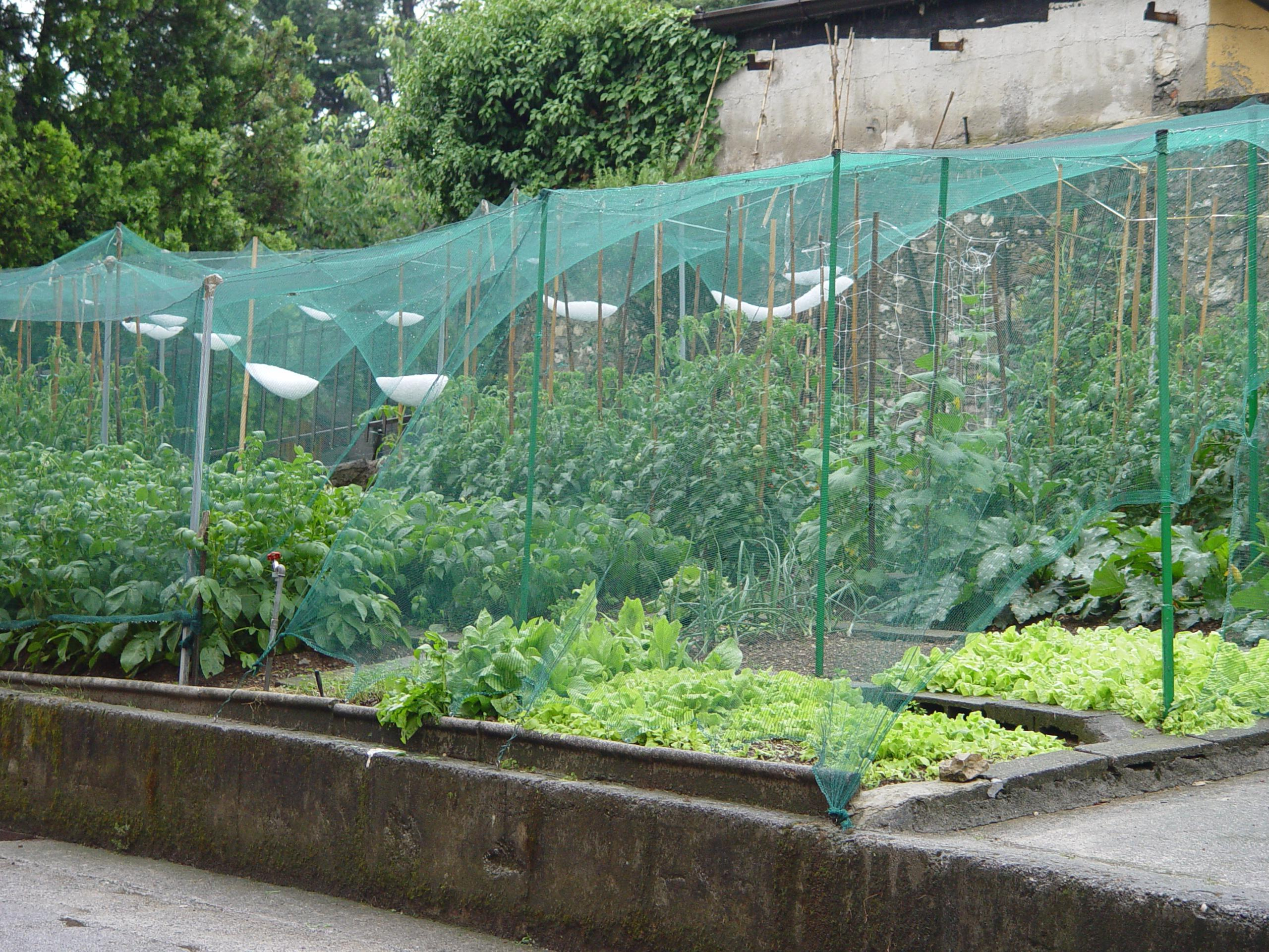 Filets Anti Oiseaux - Agroplast concernant Filet De Jardin À Oiseaux