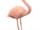 Flamant Rose Ubbink pour Flamant Rose Jardin