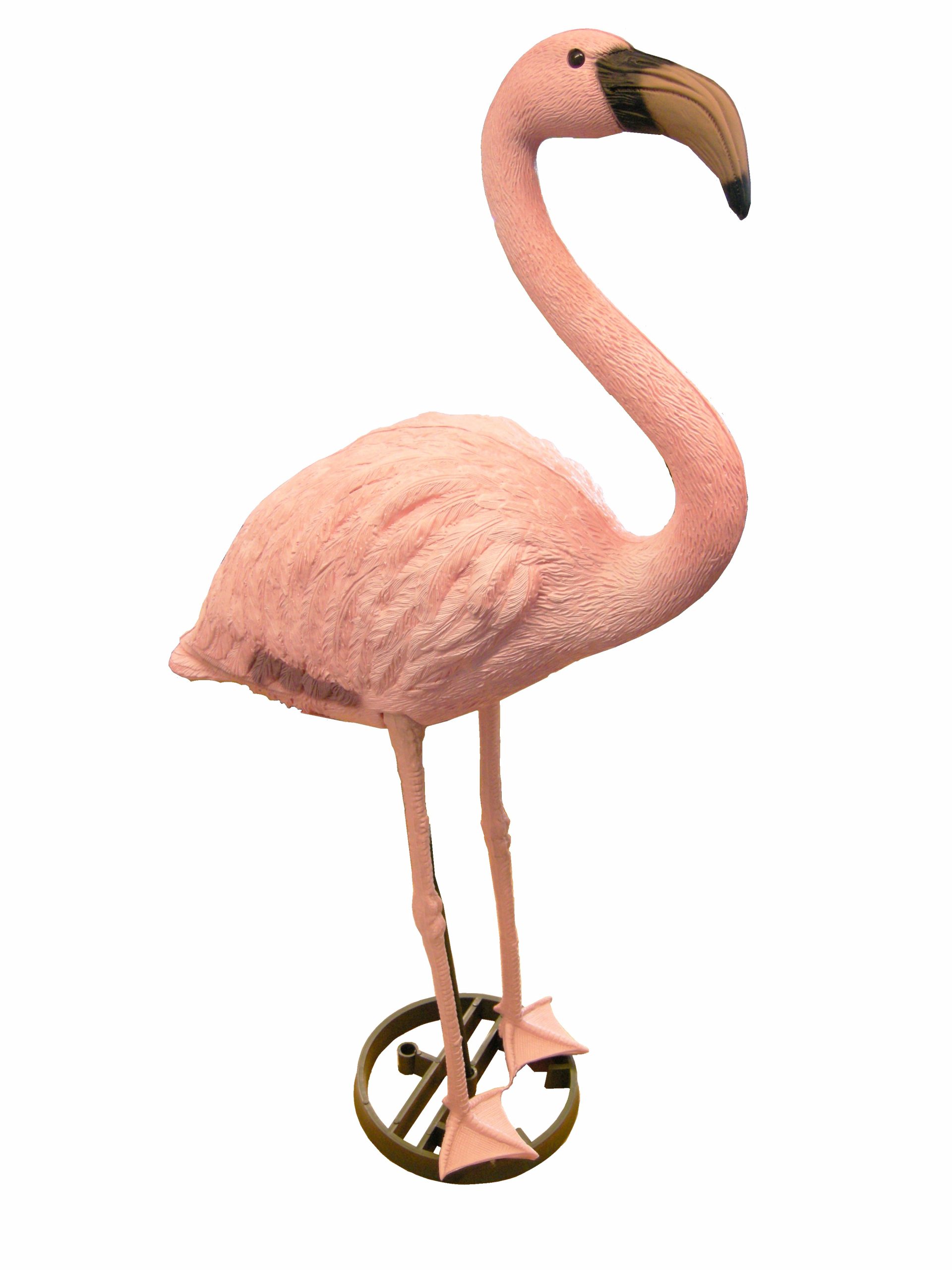 Flamant Rose Ubbink pour Flamant Rose Jardin