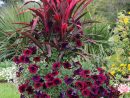 Fleurs Rouge Sombre | Idées Jardin, Decoration Jardin ... destiné Pot Rouge Jardin