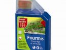 Fourmis Poudrage &amp; Arrosage Granulés Fins Bayer Jardin 400 G à Anti Fourmi Jardin