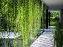Idée Aménagement Jardin : Les Meilleurs Conseils À Piocher ... destiné Idee Amenagement Jardin Zen