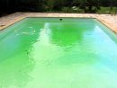 Insolite : L'eau D'un Bassin Olympique Vire Mystérieusement ... pour Piscine Brome Cancer