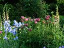 Jardin Anglais : 10 Plantes Emblématiques Pour L'aménager intérieur Comment Créer Un Jardin Anglais