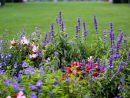Jardin Anglais : Comment L'aménager ? Eléments Indispensable ... concernant Comment Créer Un Jardin Anglais
