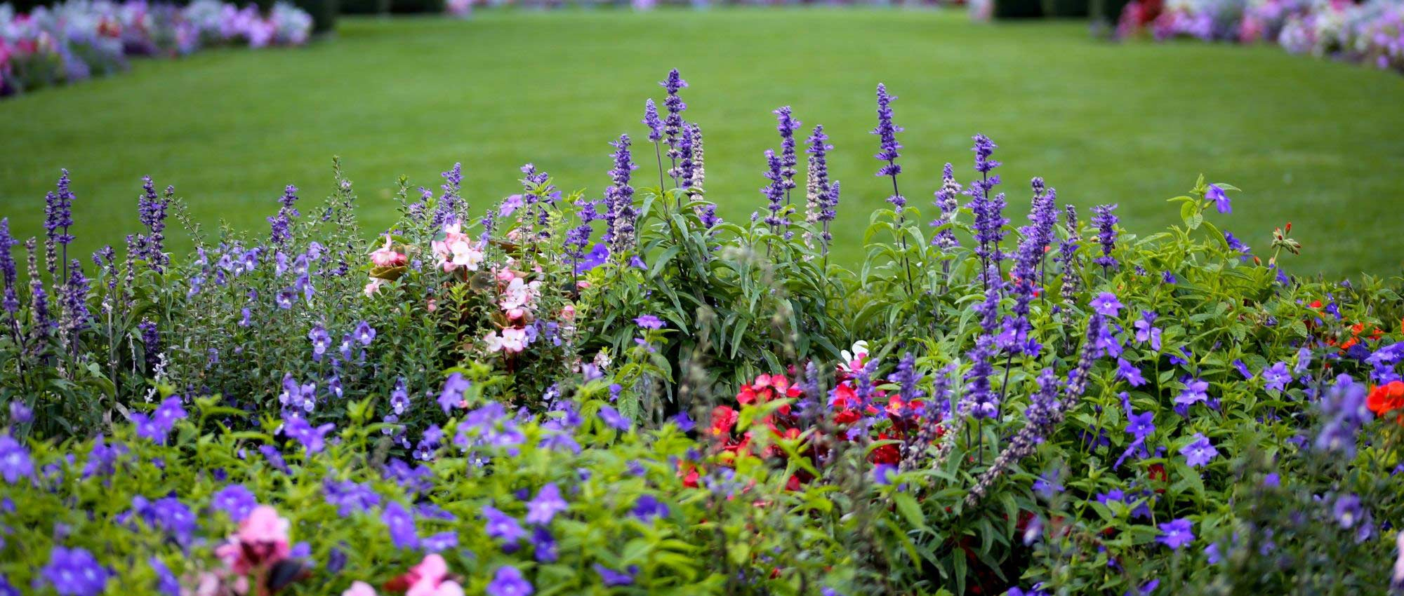 Jardin Anglais : Comment L'aménager ? Eléments Indispensable ... concernant Comment Créer Un Jardin Anglais