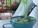 Jardin Aquatique En Pot -Une Petite Oasis À Mettre Au Balcon ... tout Pot Pvc Jardin