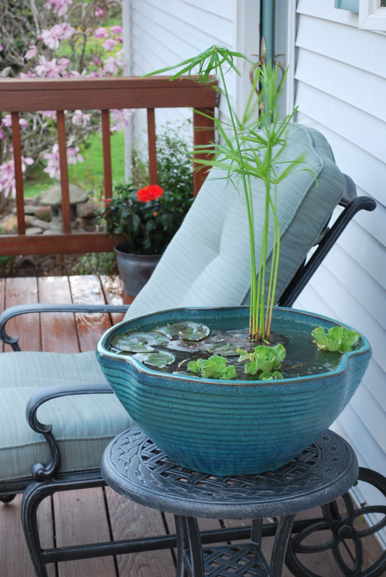 Jardin Aquatique En Pot -Une Petite Oasis À Mettre Au Balcon ... tout Pot Pvc Jardin