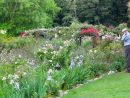 Jardin Du Monde #1 Focus Sur Le Jardin À L'anglaise | Blog ... tout Comment Créer Un Jardin Anglais