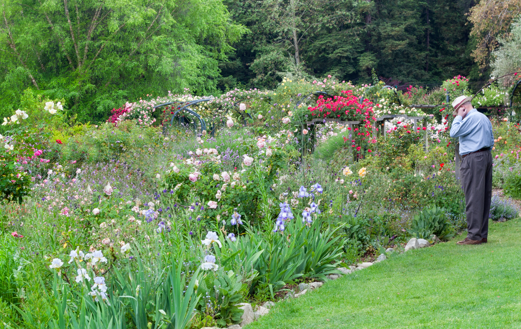 Jardin Du Monde #1 Focus Sur Le Jardin À L'anglaise | Blog ... tout Comment Créer Un Jardin Anglais