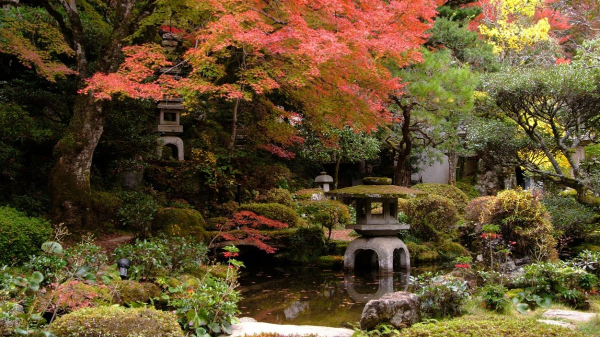 Jardin Japonais : Comment Créer Un Jardin Japonais Dans Nos ... pour Plante Jardin Japonais