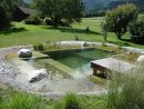 Jardin Japonais : Comment Faire Un Jardin Zen ? Arbuste ... concernant Jardin Japonais Pas Cher