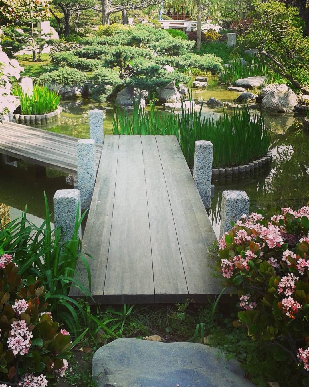 Jardin Japonais In 2020 | Japanese Garden Backyard ... avec Construction Jardin Japonais