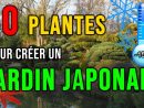 Jardin Japonais : Quelles Plantes Choisir Pour Créer Un Jardin Japonais?  [Résistants Au Froid] 😜 à Plantes Pour Jardin Japonais