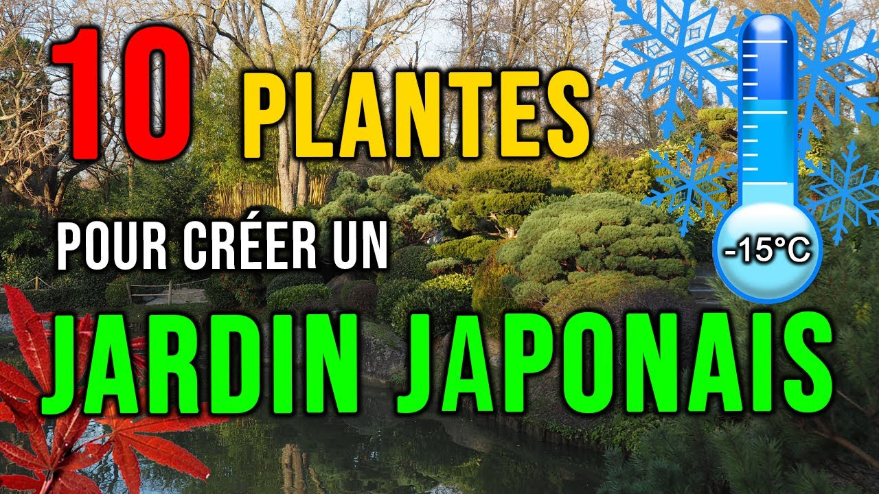 Jardin Japonais : Quelles Plantes Choisir Pour Créer Un Jardin Japonais?  [Résistants Au Froid] 😜 à Plantes Pour Jardin Japonais