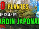 Jardin Japonais : Quelles Plantes Choisir Pour Créer Un Jardin Japonais?  [Résistants Au Froid] 😜 dedans Plante Jardin Japonais