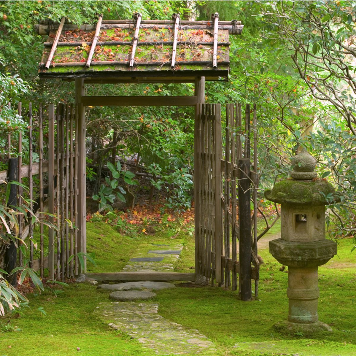 Jardin Japonais : Quelles Plantes Et Comment L'aménager ... encequiconcerne Plante Pour Jardin Japonais