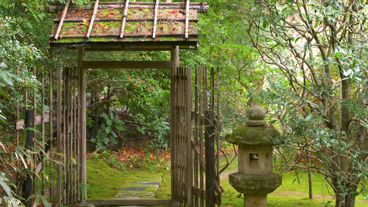 Jardin Japonais : Quelles Plantes Et Comment L'aménager ... intérieur Plantes Pour Jardin Japonais