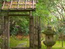 Jardin Japonais : Quelles Plantes Et Comment L'aménager ... serapportantà Plante Jardin Japonais