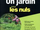 Jardin Pour Les Nuls (2E Édition) - Patrick Mioulane - First - Grand Format  - Le Hall Du Livre Nancy pour Le Jardin Pour Les Nuls