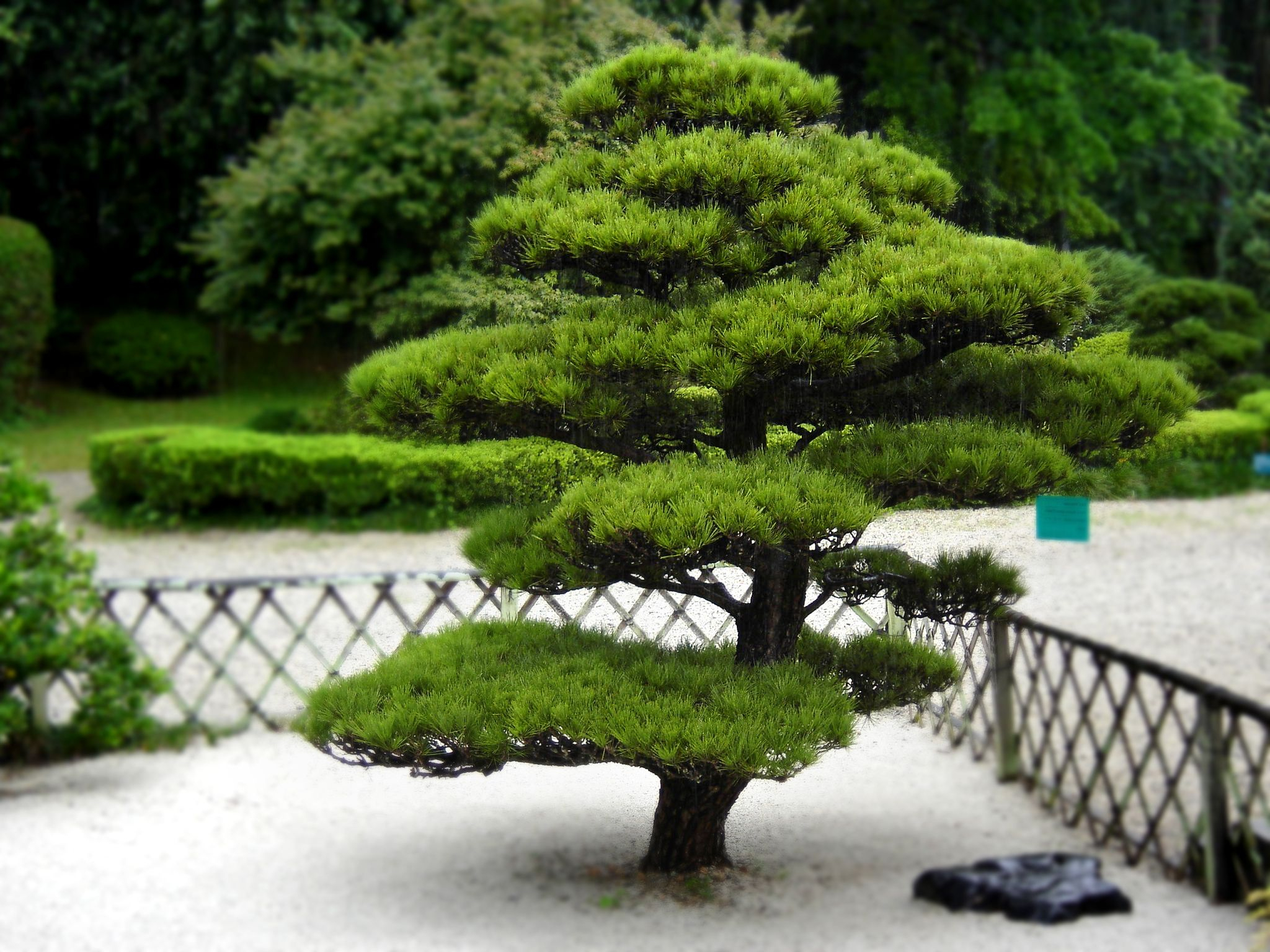 Jardin Zen - Bing Images | Jardin Japonais, Décoration ... pour Arbustes Decoration Jardin
