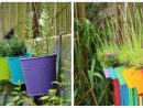 Jardinage : Mettons De La Couleur Au Jardin Et Au Balcon à Pot Couleur Jardin